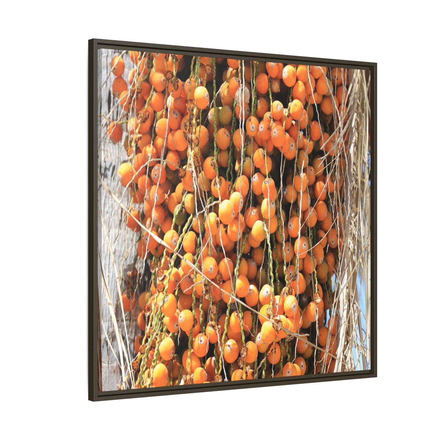 Clusters of Sunlight - Unique Canvas Wall Art - Art By Earth