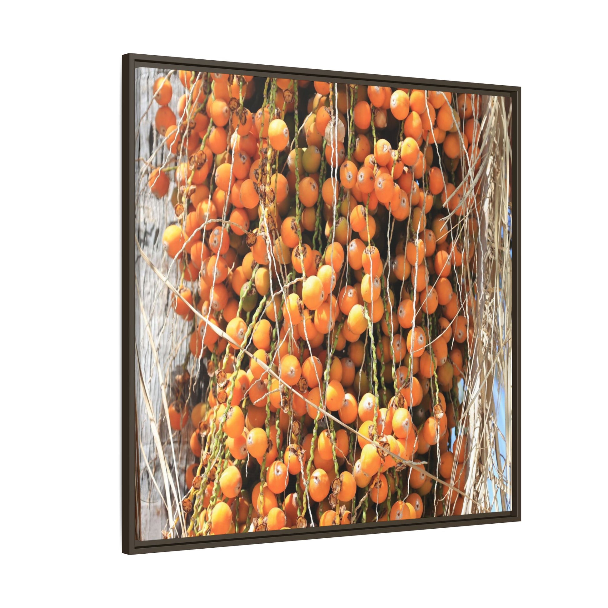 Clusters of Sunlight - Unique Canvas Wall Art - Art By Earth