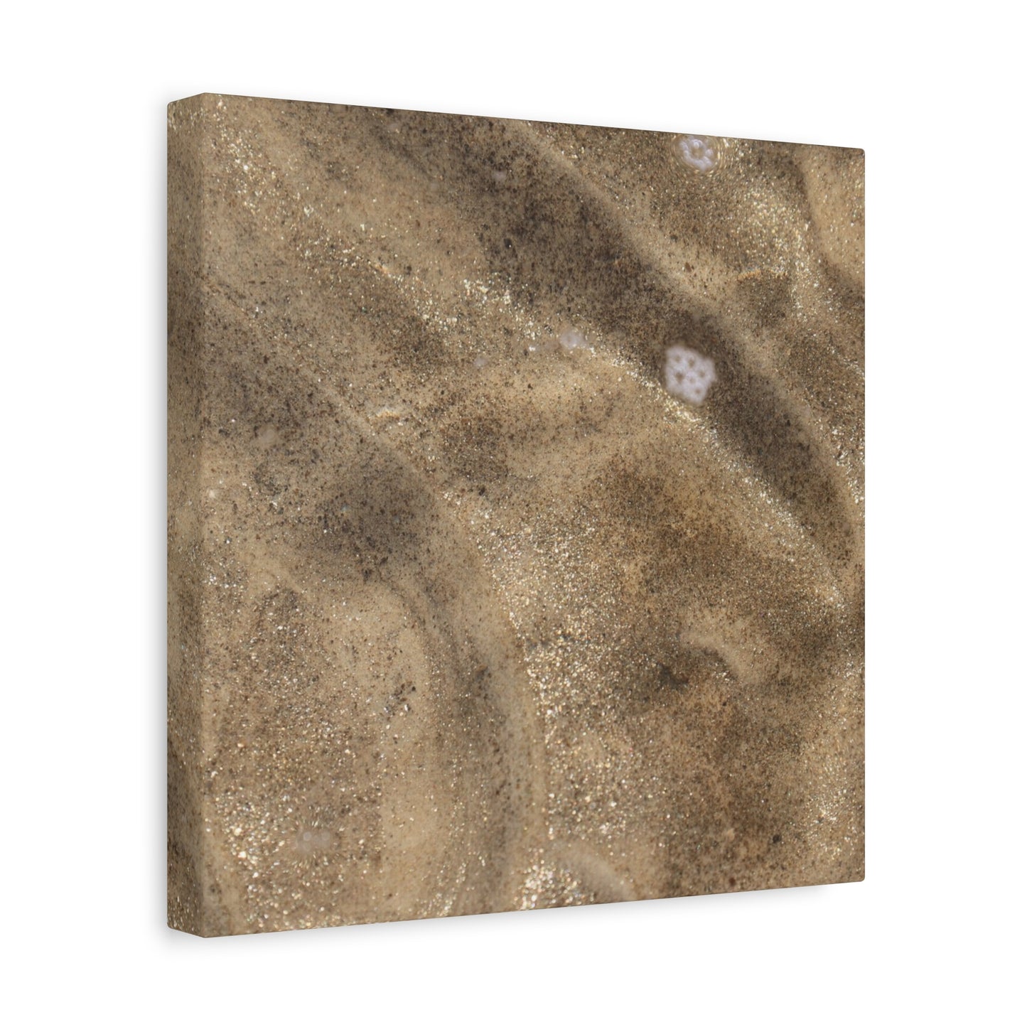 Sandy Shore Impressions - Unique Frameless Canvas Wall Art - Art By Earth