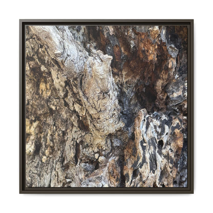 Ancient Tree Texture - Unique Stretched Canvas Wall Art - Art By Earth