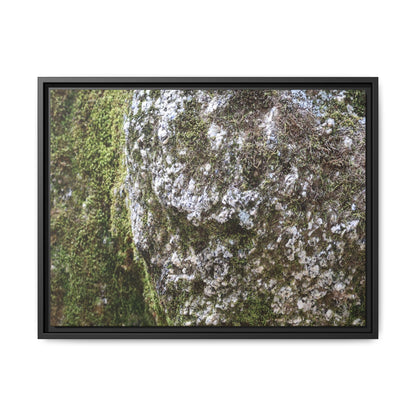 Lichen Landscape - Unique Stretched Canvas Wall Art - Art By Earth