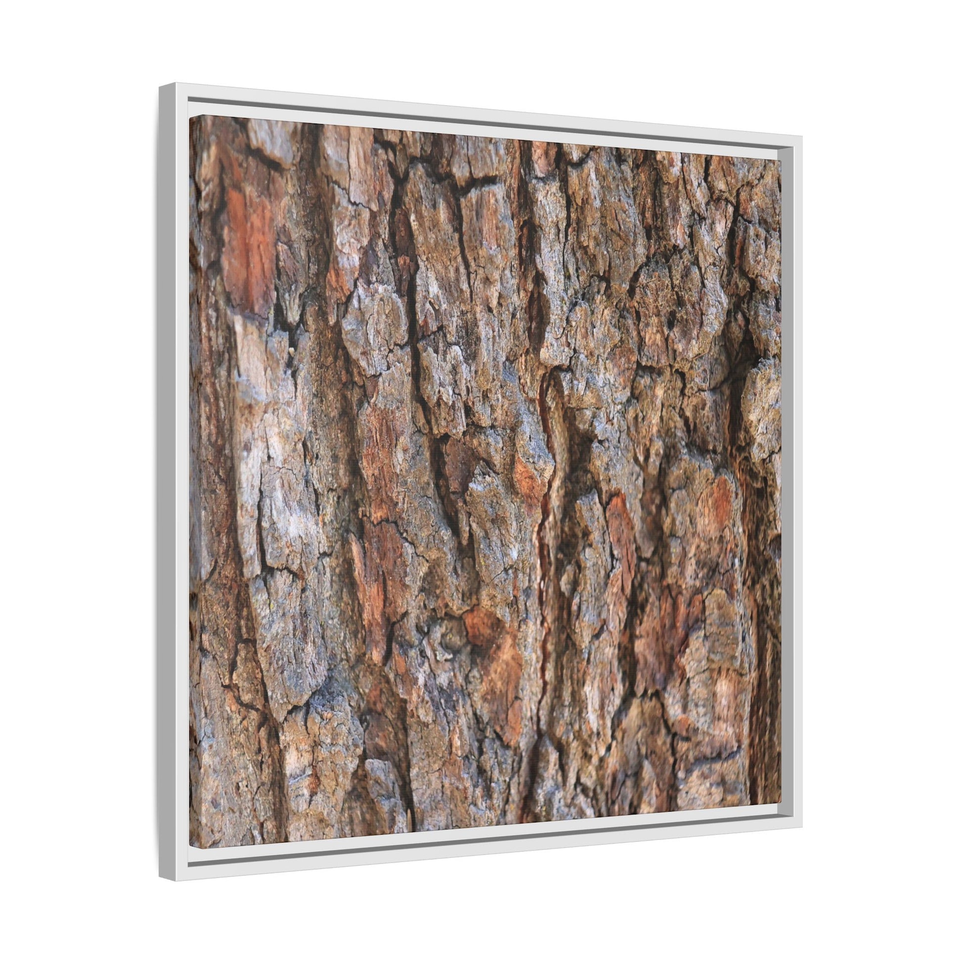 Tree's Timeworn Tale - Unique Stretched Canvas Wall Art - Art By Earth