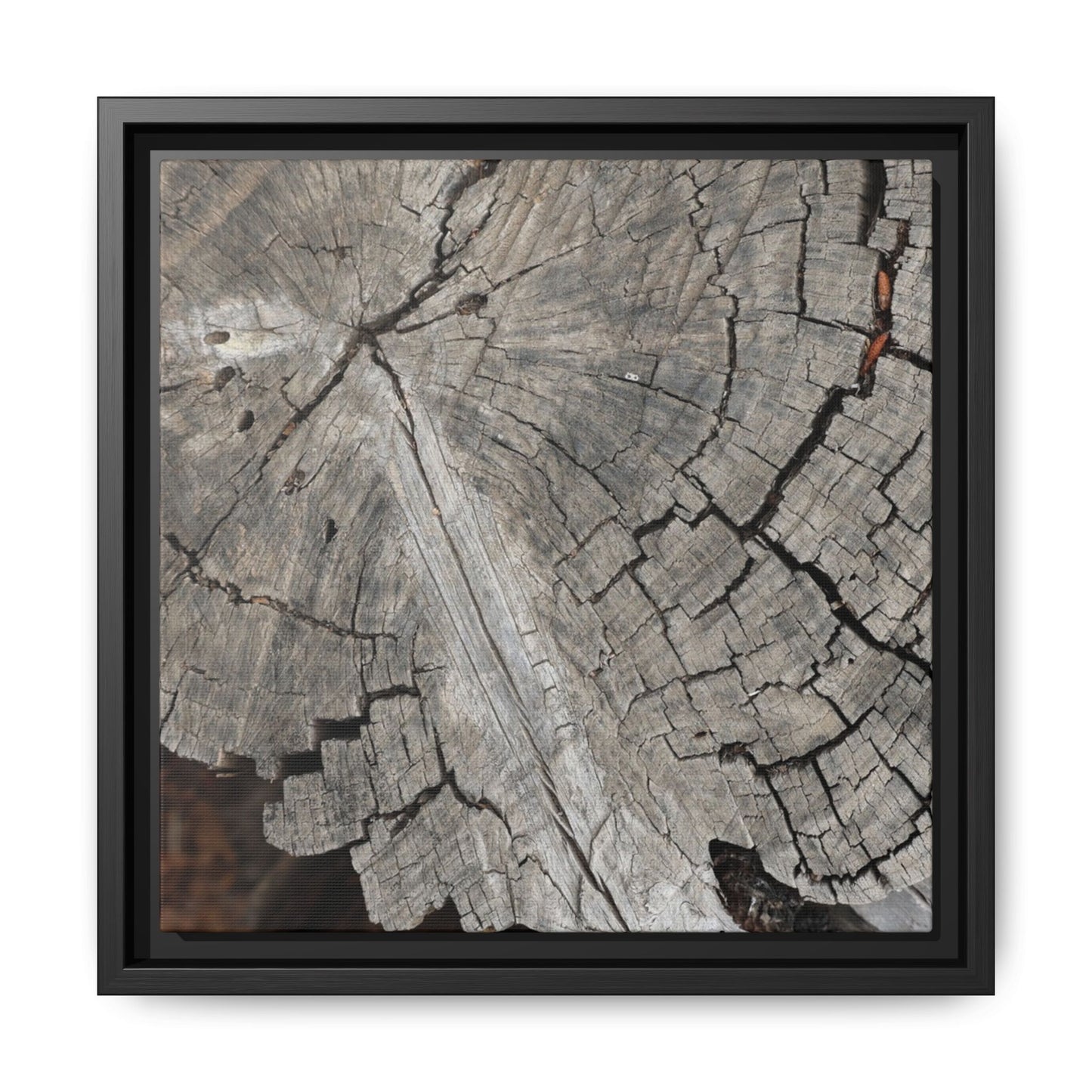 Time's Signature - Unique Stretched Canvas Wall Art - Art By Earth