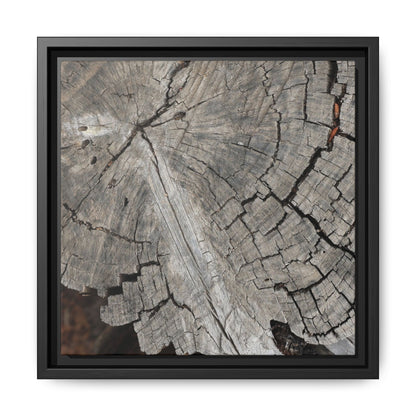 Time's Signature - Unique Stretched Canvas Wall Art - Art By Earth