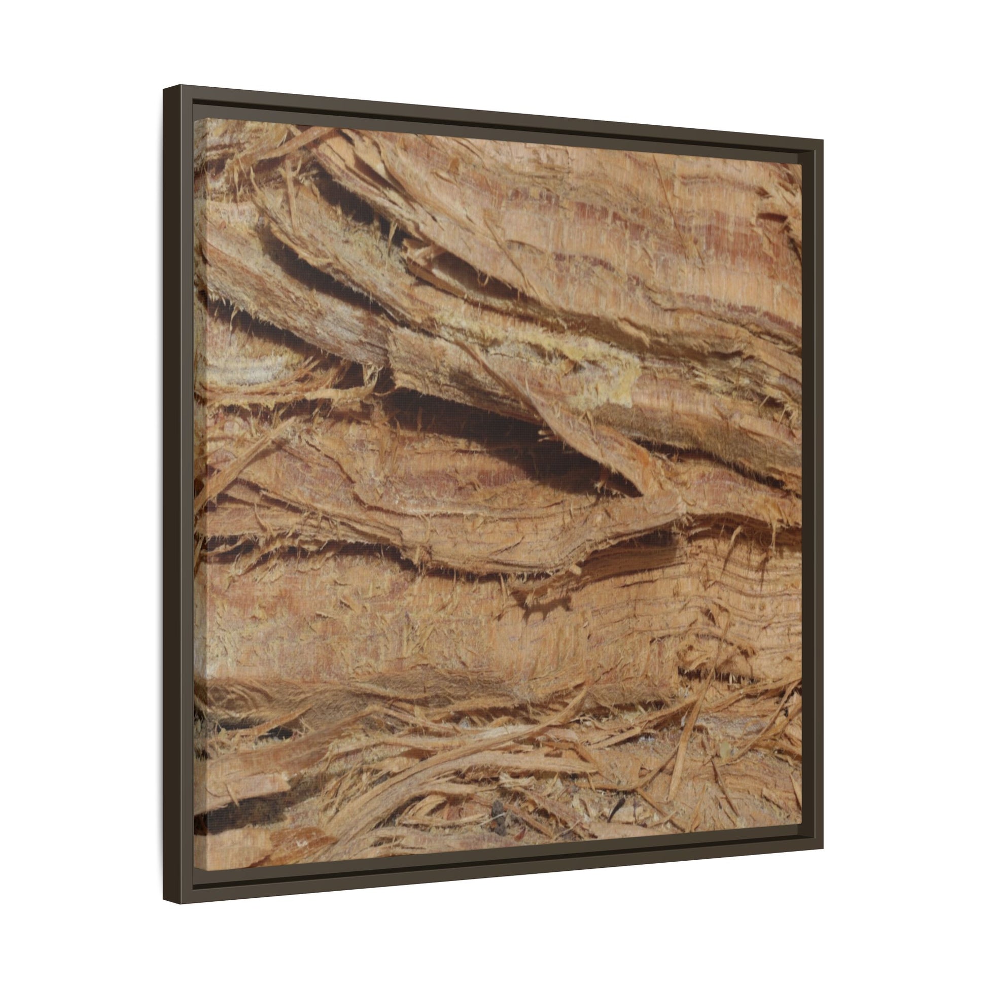 Splintered Bark - Unique Stretched Canvas Wall Art - Art By Earth