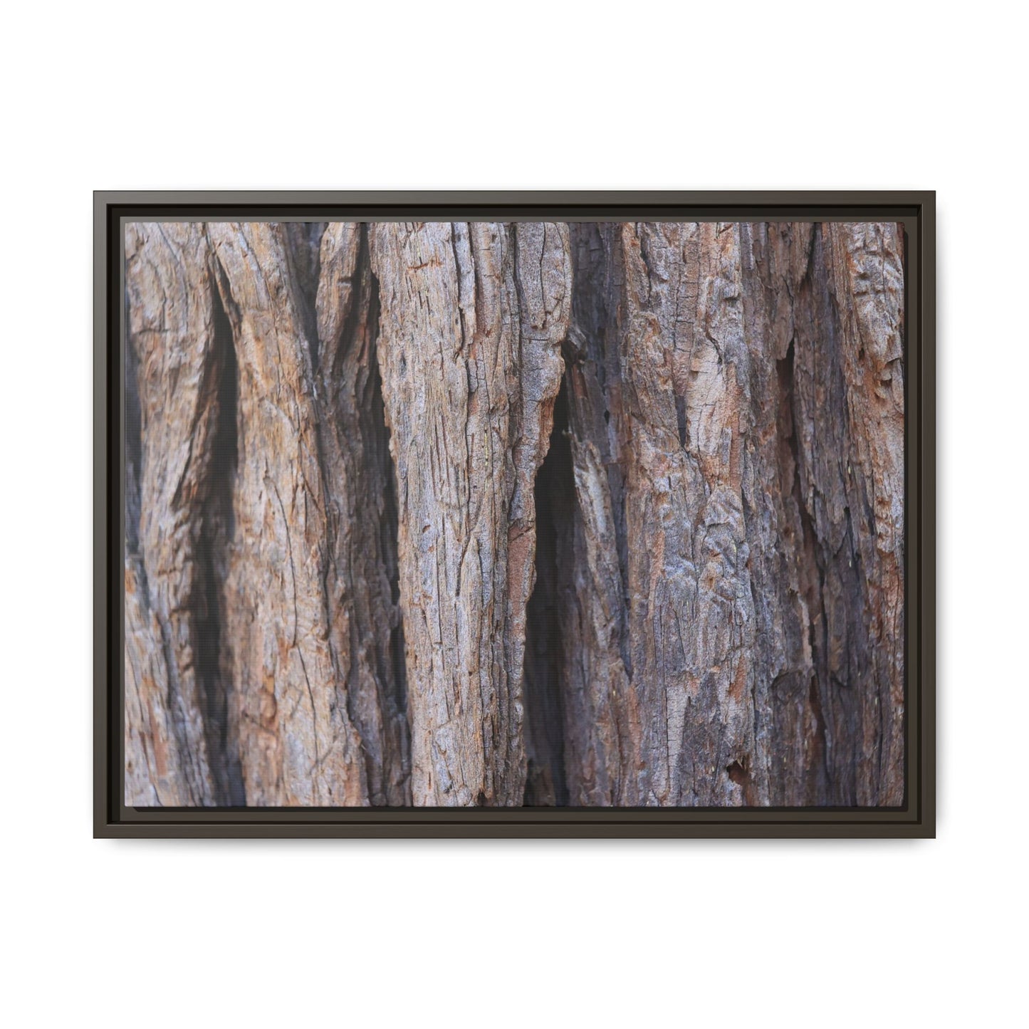 Ancient Grains - Unique Stretched Canvas Wall Art - Art By Earth