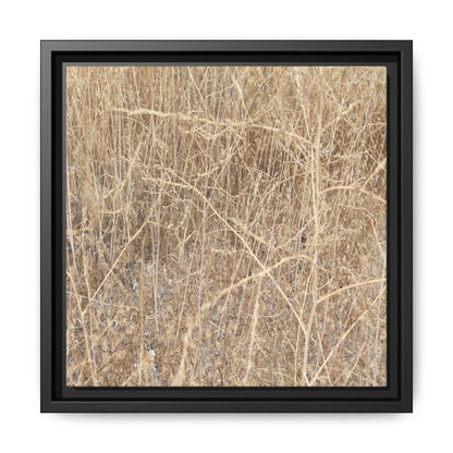Golden Stalks - Unique Stretched Canvas Wall Art - Art By Earth
