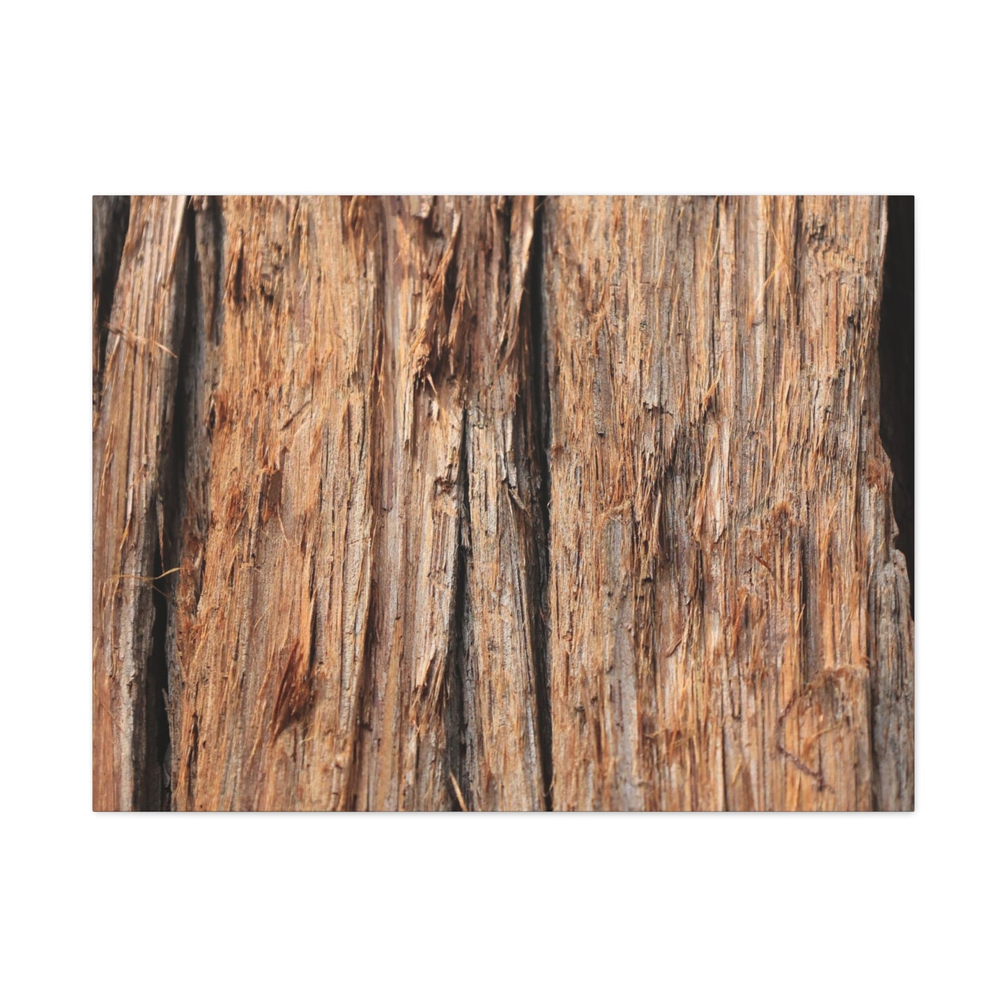 Woodland Echoes - Unique Frameless Canvas Wall Art - Art By Earth