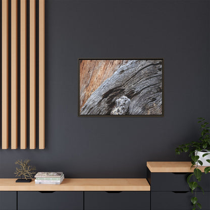 Time's Mark on Timber - Unique Stretched Canvas Wall Art - Art By Earth