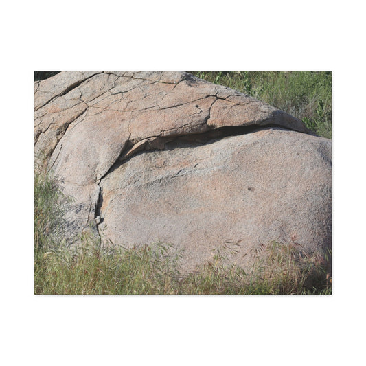 Granite Boulder in Desert Scrub - Unique Frameless Canvas Wall Art - Art By Earth