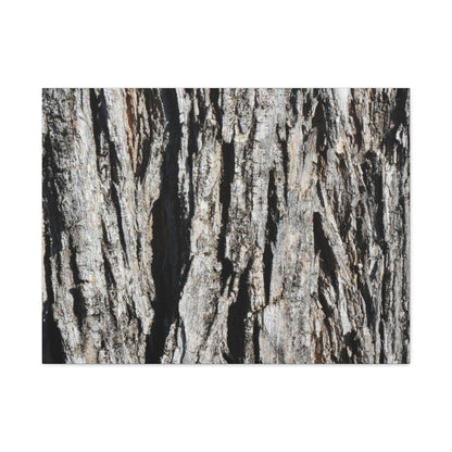 Bark Textures in Monochrome - Unique Frameless Canvas Wall Art - Art By Earth