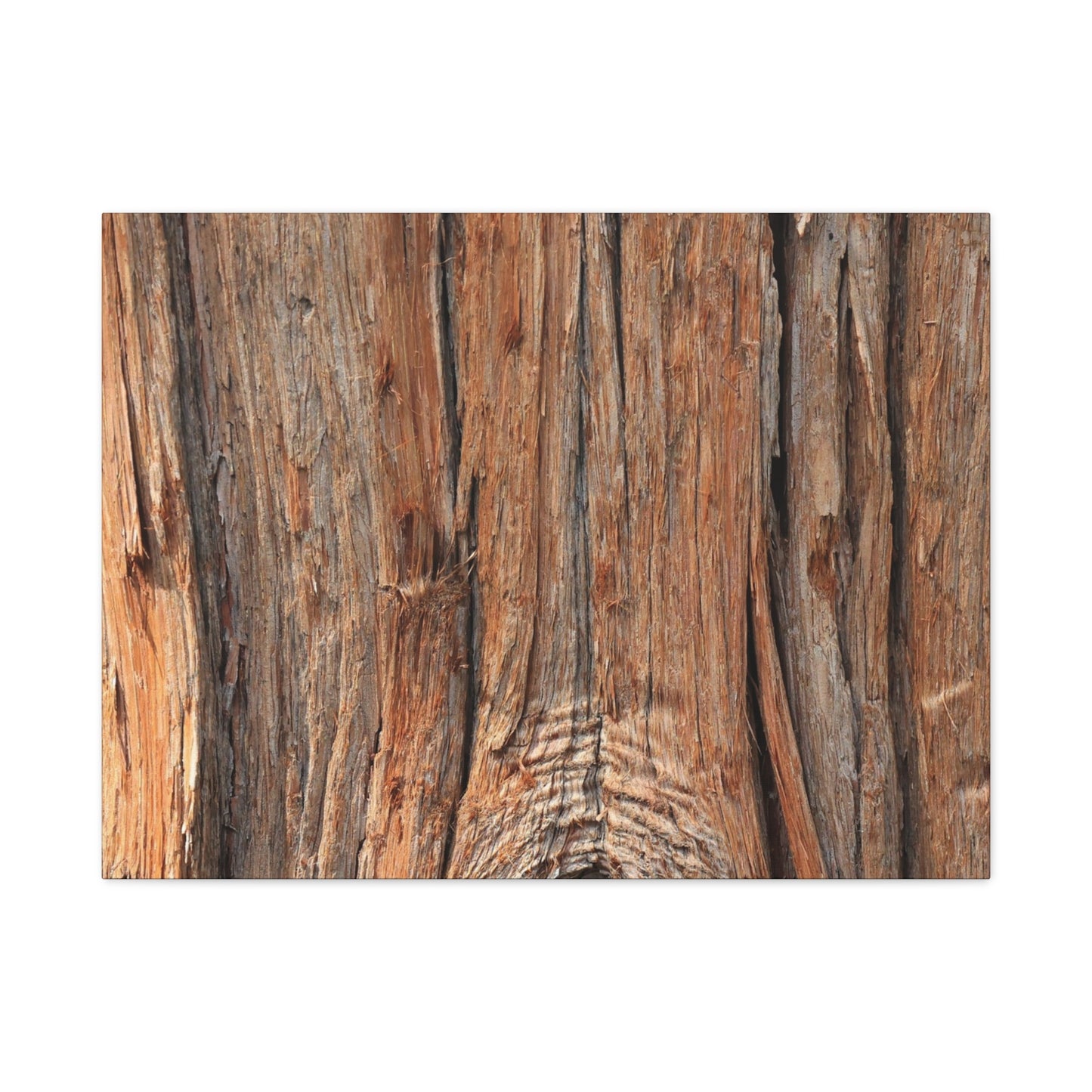 Bark's Ancient Whispers - Unique Frameless Canvas Wall Art - Art By Earth