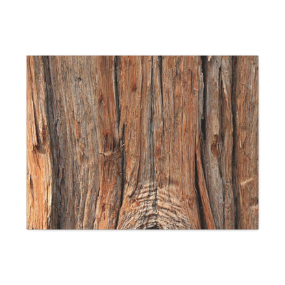 Bark's Ancient Whispers - Unique Frameless Canvas Wall Art - Art By Earth