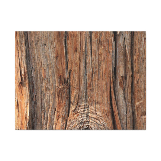 Bark's Ancient Whispers - Unique Frameless Canvas Wall Art - Art By Earth