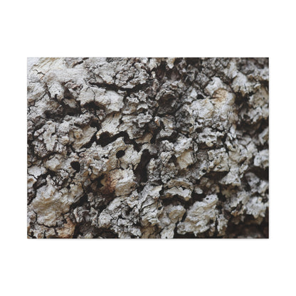 Cracked Earth Tapestry - Unique Frameless Canvas Wall Art - Art By Earth