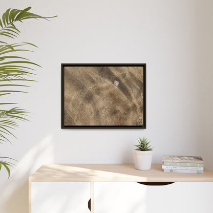Underwater Sand Exploration - Unique Stretched Canvas Wall Art - Art By Earth