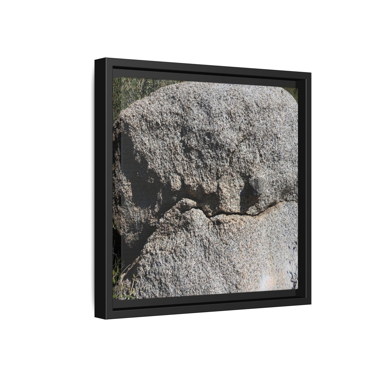 Stone Skull in Desert - Unique Stretched Canvas Wall Art