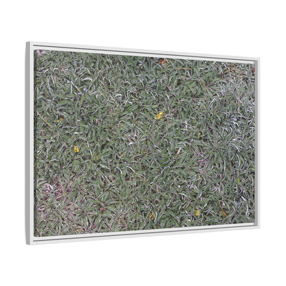Grassy Texture - Unique Stretched Canvas Wall Art - Art By Earth