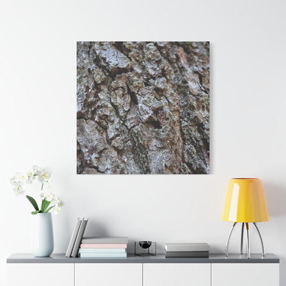Cracked Echoes - Unique Frameless Canvas Wall Art - Art By Earth