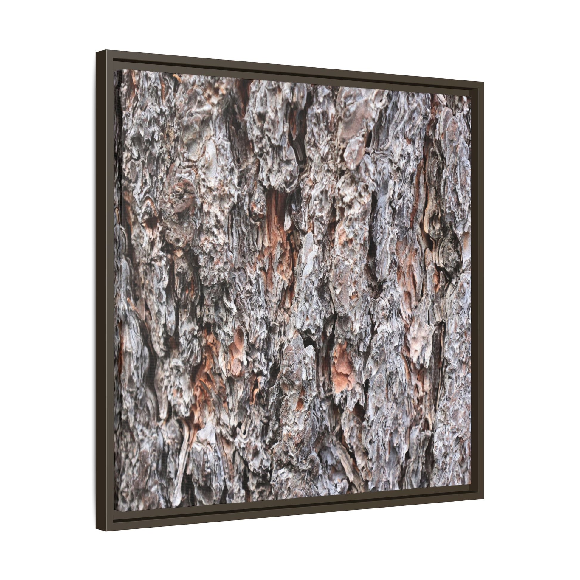 Rugged Cortex - Unique Stretched Canvas Wall Art - Art By Earth