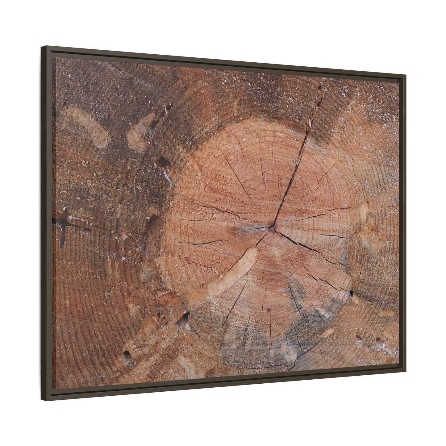 Concentric Memories - Unique Stretched Canvas Wall Art - Art By Earth