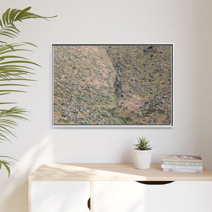 Mountain Slope with Desert Vegetation - Unique Stretched Canvas Wall Art - Art By Earth