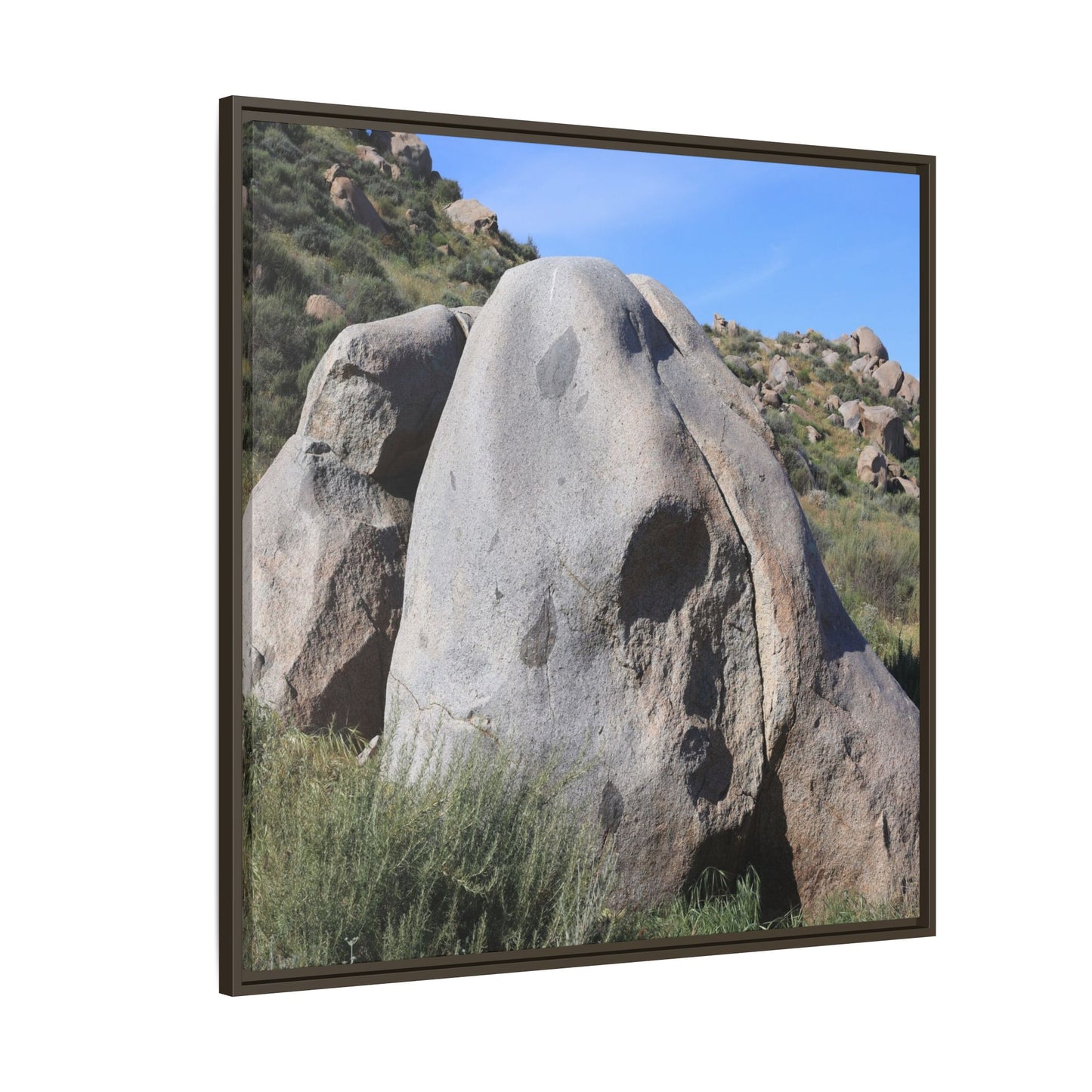 Skull Rock Desert - Unique Stretched Canvas Wall Art - Art By Earth