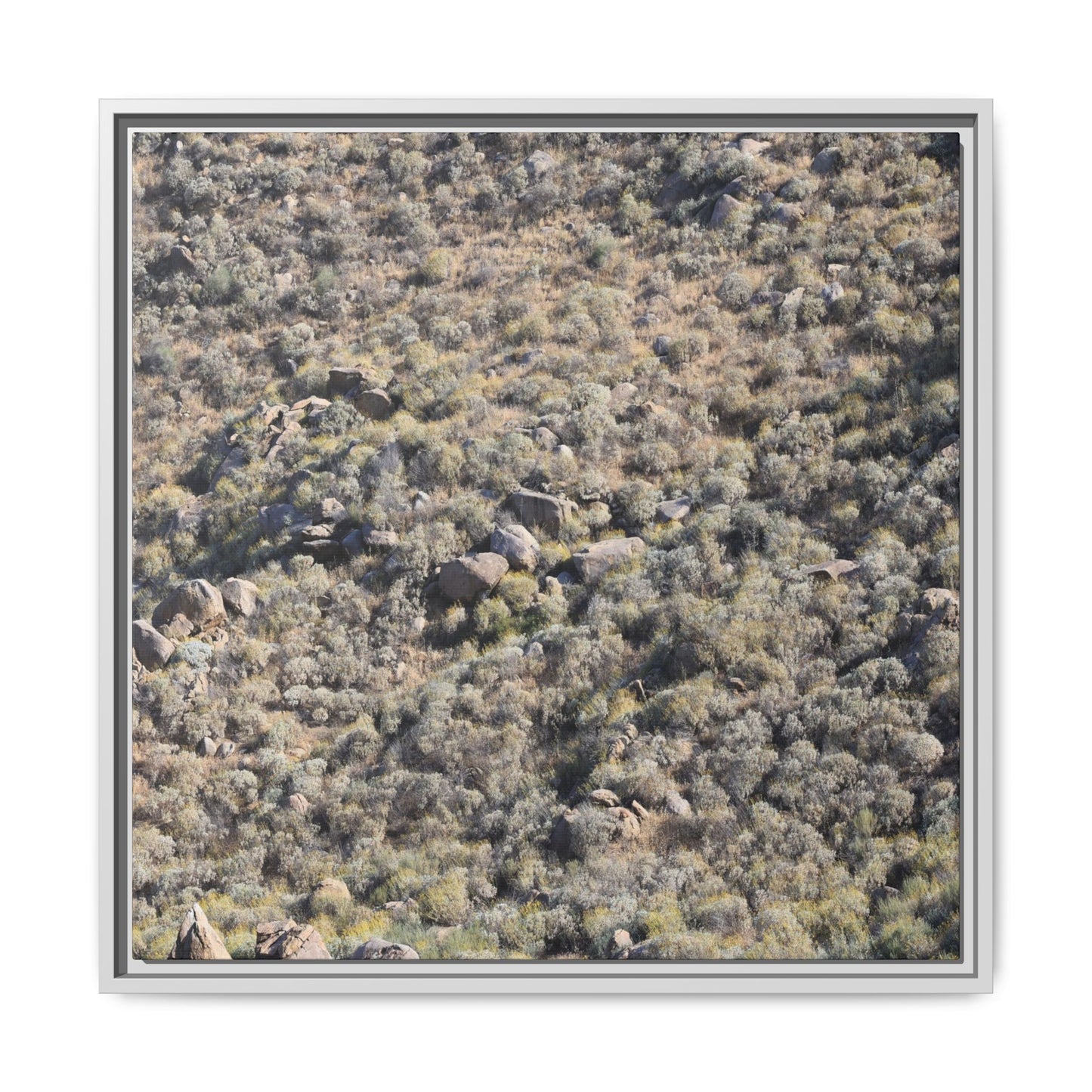 Arid Terrain Study - Unique Stretched Canvas Wall Art - Art By Earth