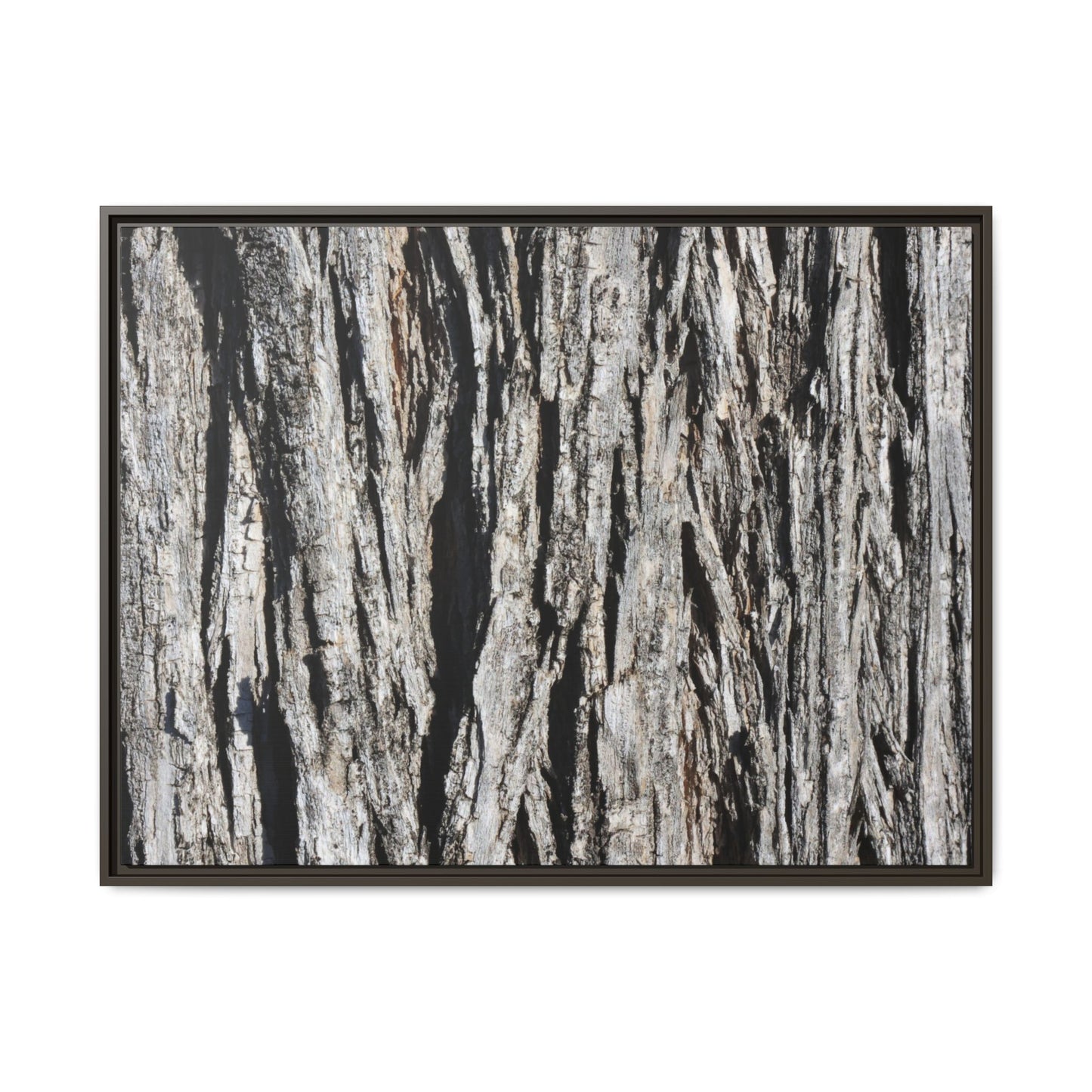Bark Lines - Unique Stretched Canvas Wall Art - Art By Earth
