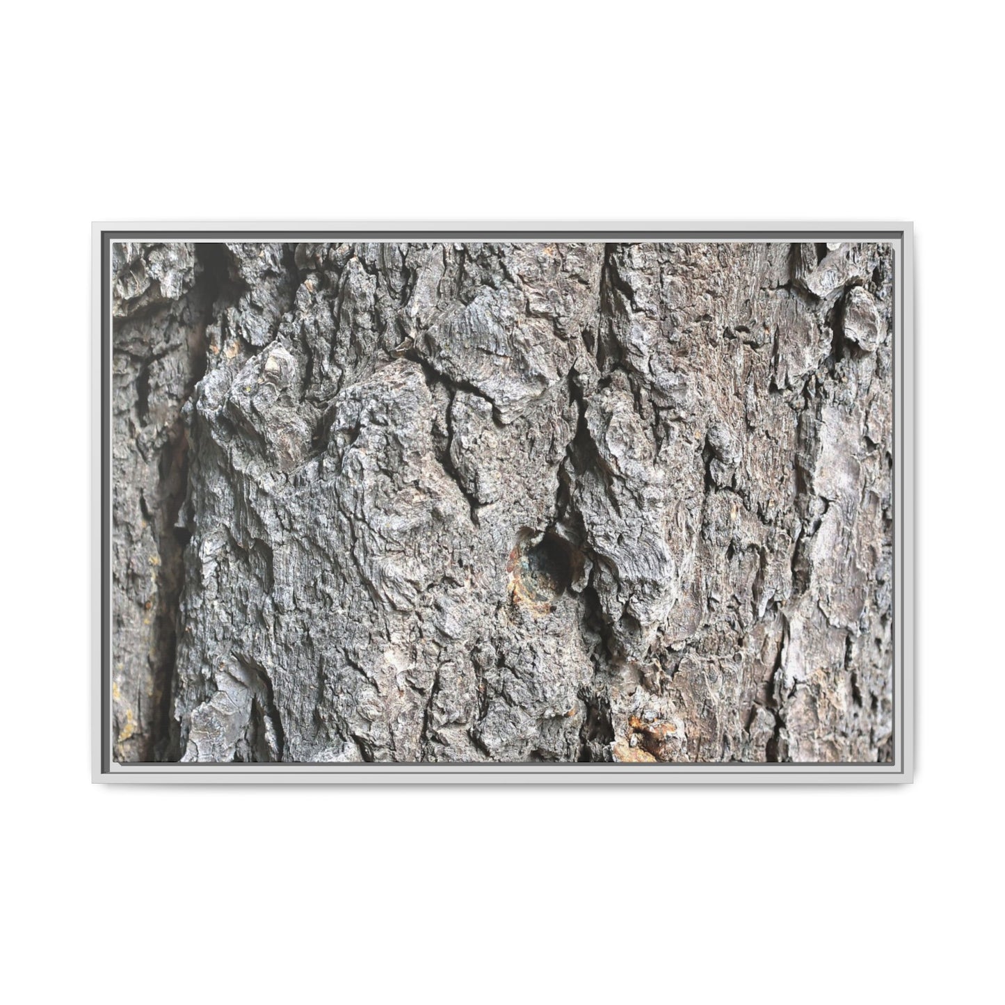 Crusty Exterior - Unique Stretched Canvas Wall Art - Art By Earth