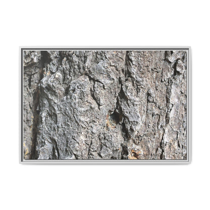 Crusty Exterior - Unique Stretched Canvas Wall Art - Art By Earth