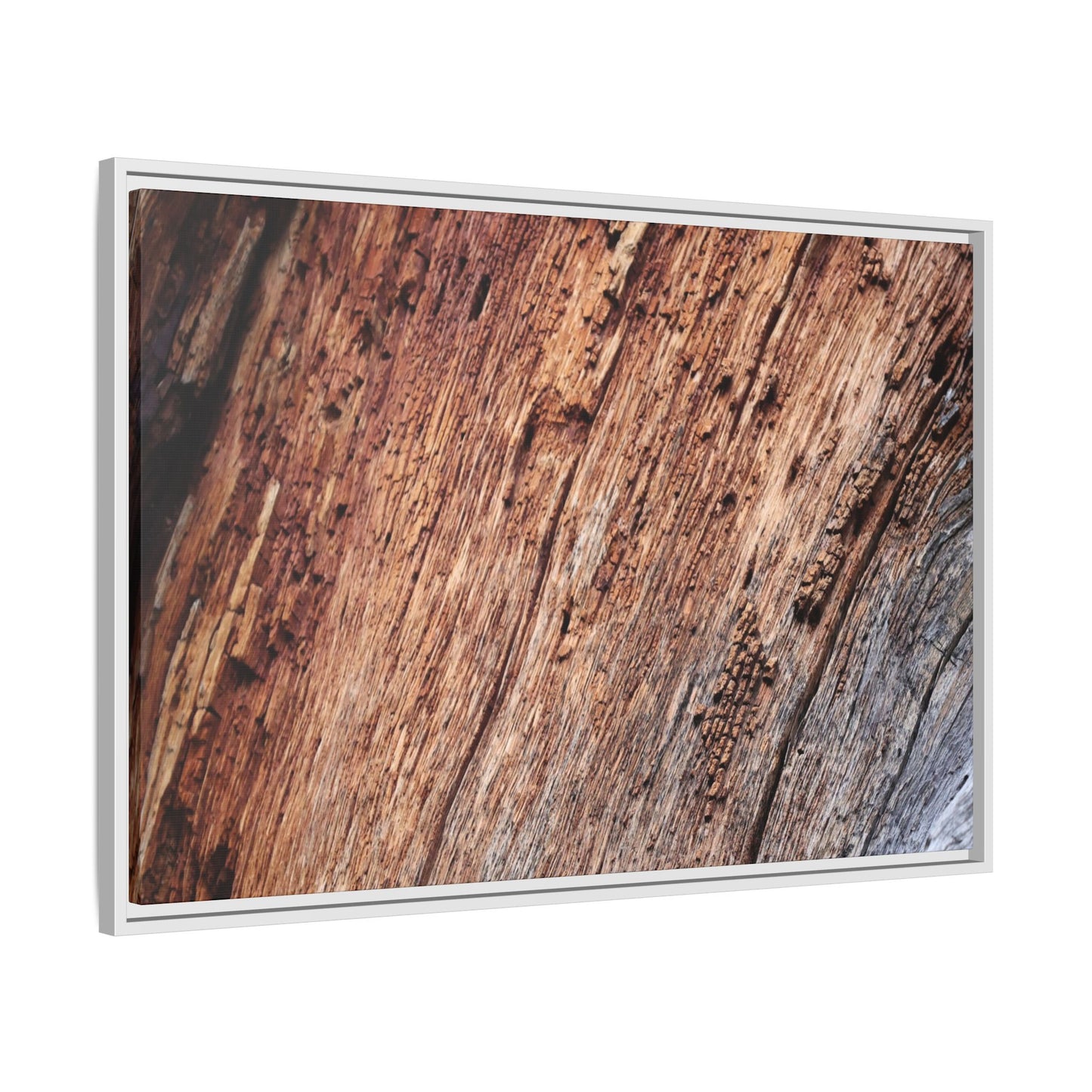Time's Mark - Unique Stretched Canvas Wall Art - Art By Earth