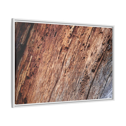 Time's Mark - Unique Stretched Canvas Wall Art - Art By Earth