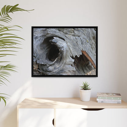 Bark's Labyrinth - Unique Stretched Canvas Wall Art - Art By Earth