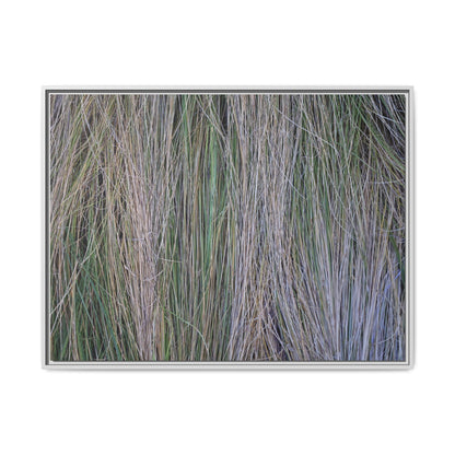 Whispers of Silver Grass - Unique Stretched Canvas Wall Art - Art By Earth