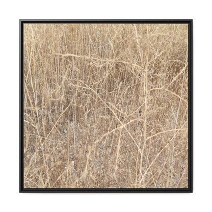 Golden Stalks - Unique Stretched Canvas Wall Art - Art By Earth