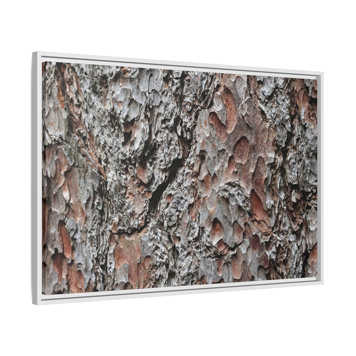 Bark Texture Symphony - Unique Stretched Canvas Wall Art - Art By Earth