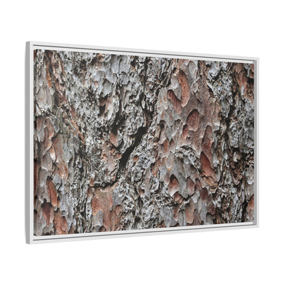 Bark Texture Symphony - Unique Stretched Canvas Wall Art - Art By Earth