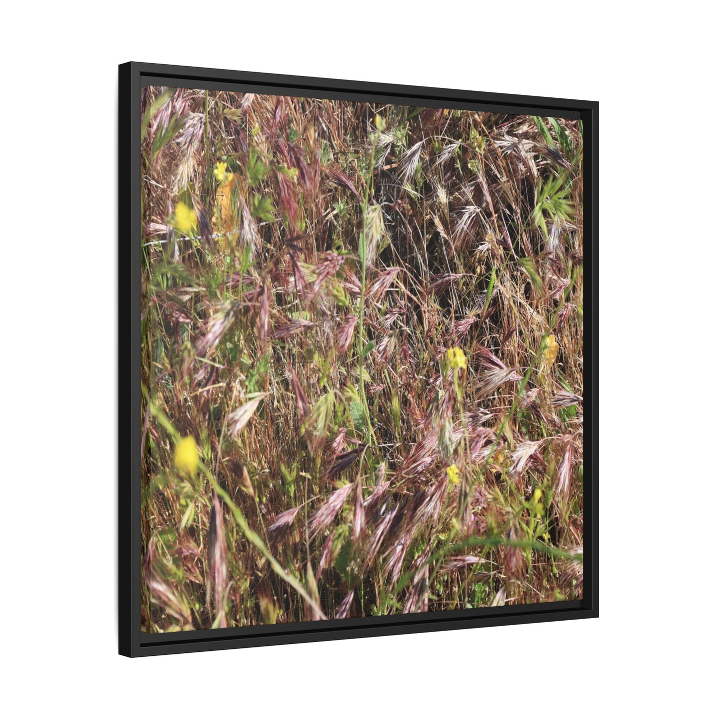 Autumn Meadow - Unique Stretched Canvas Wall Art - Art By Earth