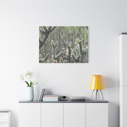 Spiny Sentinels - Unique Frameless Canvas Wall Art - Art By Earth