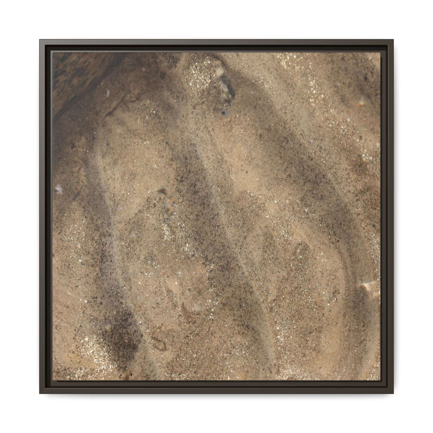 Tidal Pool Secrets - Unique Stretched Canvas Wall Art - Art By Earth