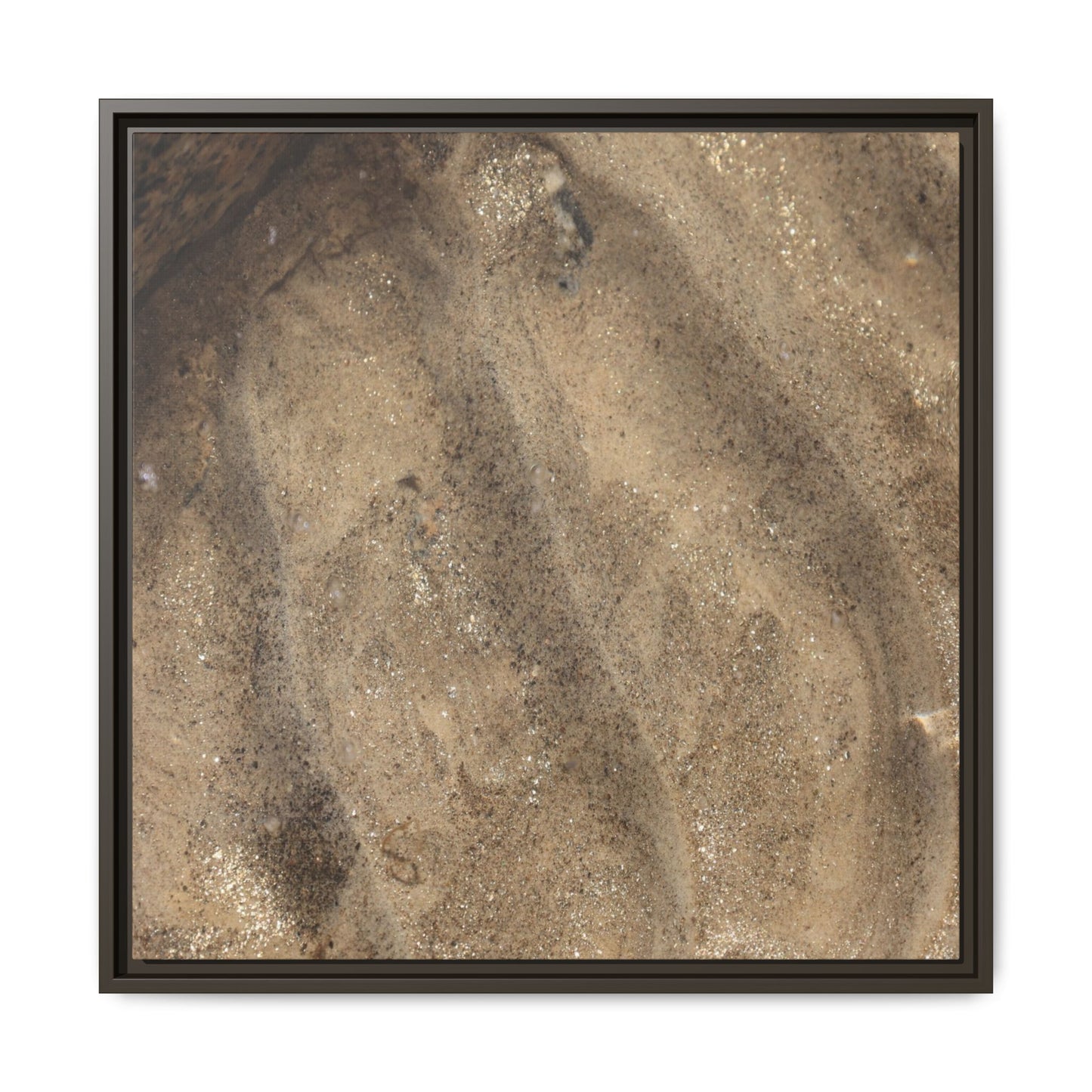 Tidal Pool Secrets - Unique Stretched Canvas Wall Art - Art By Earth