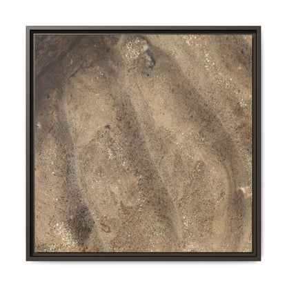 Tidal Pool Secrets - Unique Stretched Canvas Wall Art - Art By Earth