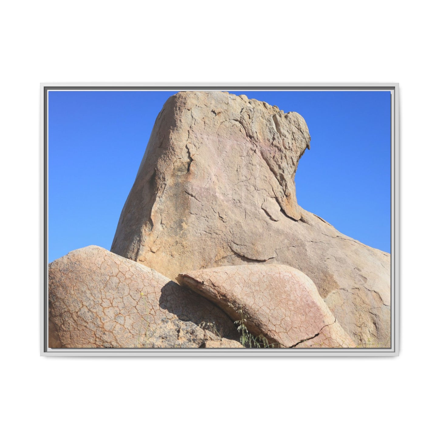Rocky Sentinel - Unique Stretched Canvas Wall Art - Art By Earth
