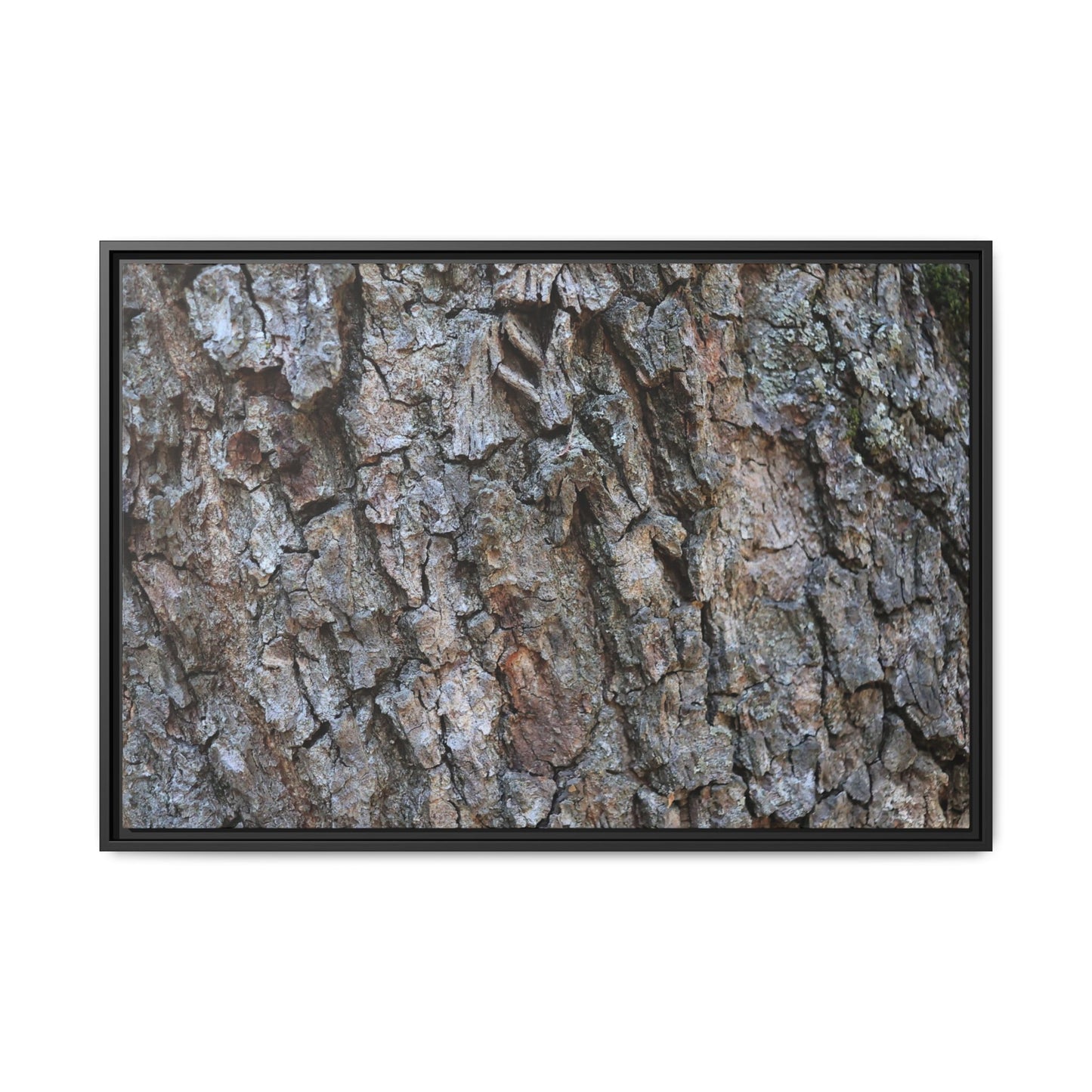 Woodland Skin - Unique Stretched Canvas Wall Art - Art By Earth