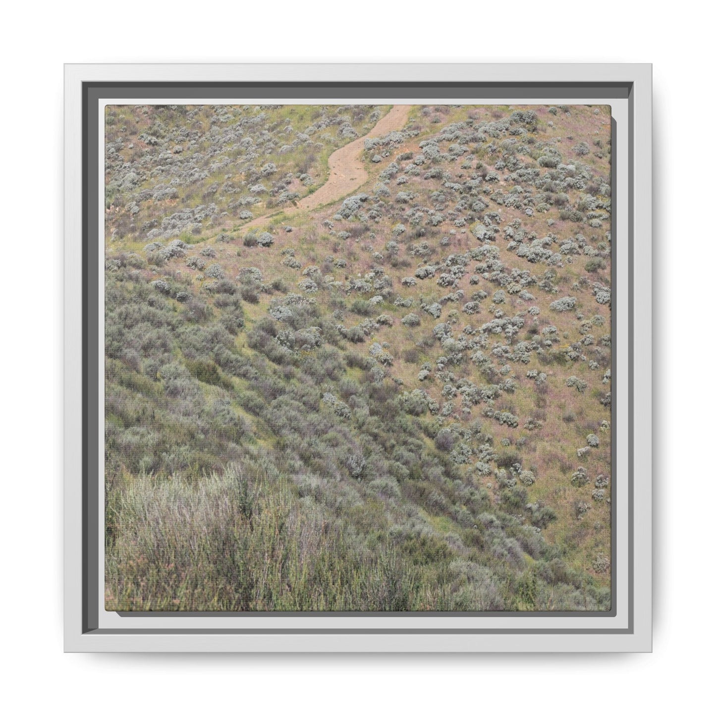Arid Landscape with Winding Path - Unique Stretched Canvas Wall Art - Art By Earth