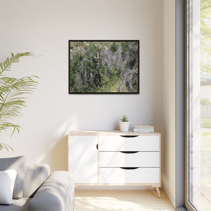Forest Decline - Unique Stretched Canvas Wall Art