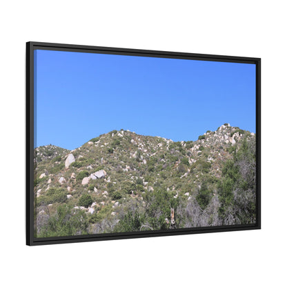 Sparse Vegetation - Unique Stretched Canvas Wall Art