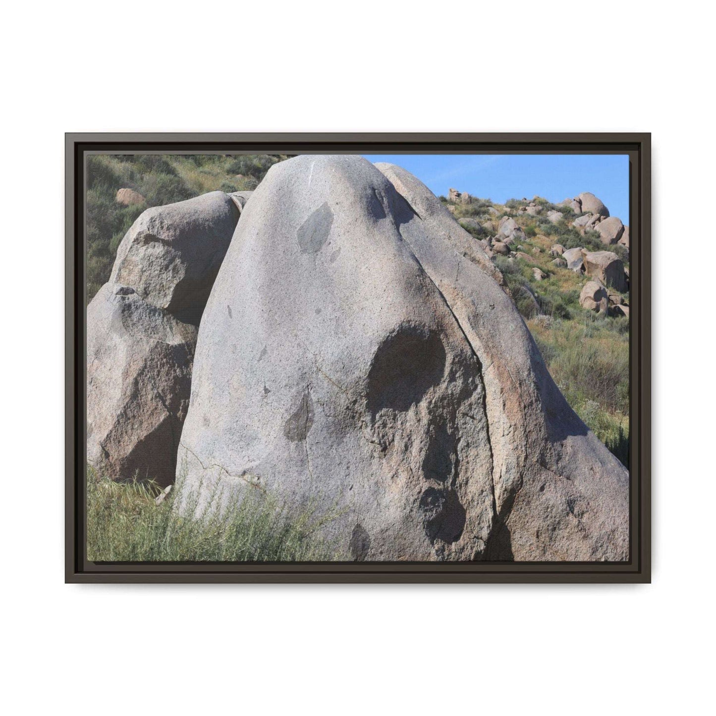 Skull Rock Desert - Unique Stretched Canvas Wall Art - Art By Earth