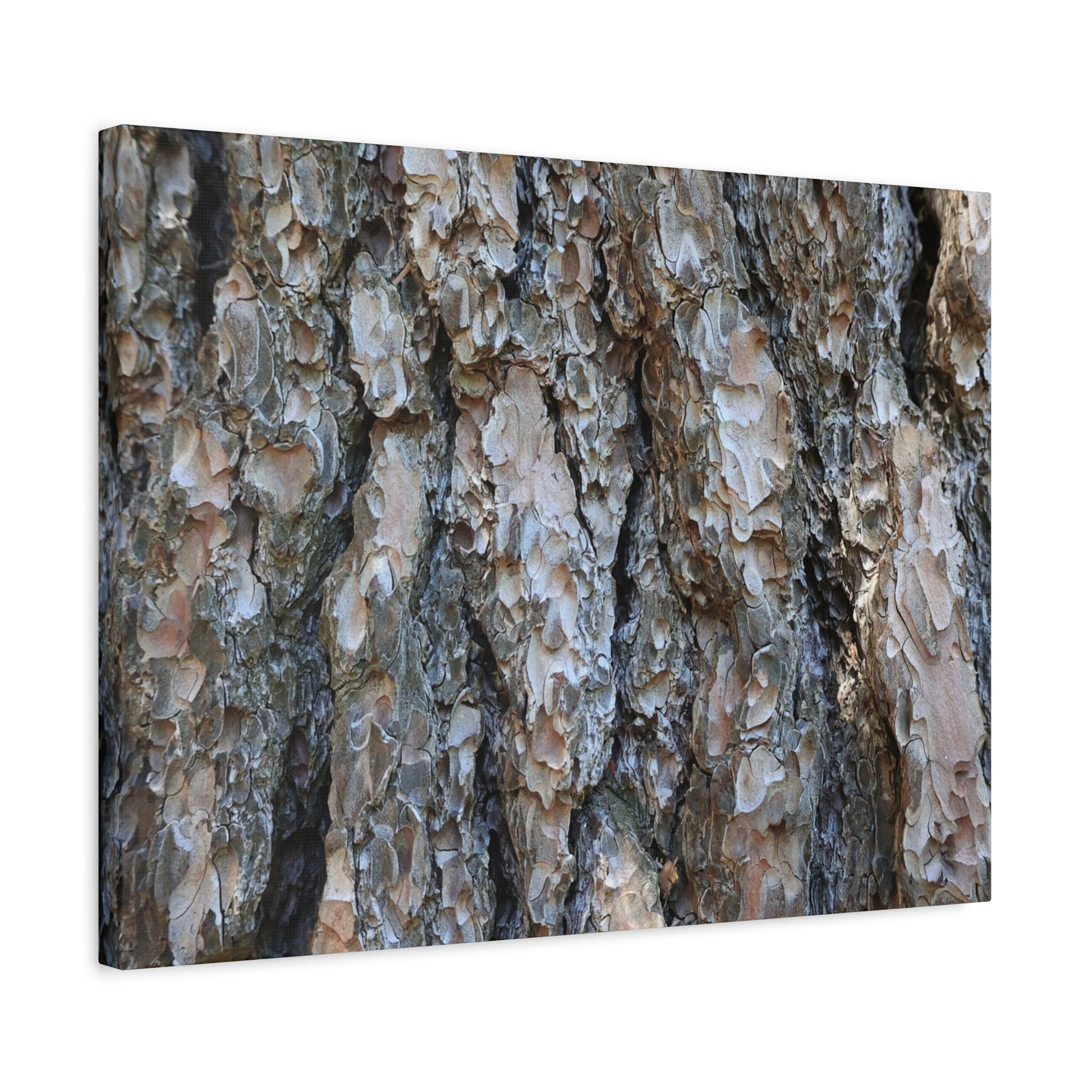 Elemental Tapestry - Unique Frameless Canvas Wall Art - Art By Earth